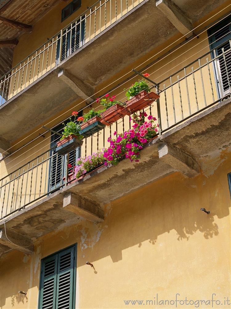 Valmosca fraction of Campiglia Cervo (Biella, Italy) - Balcony with flowers